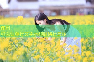 The current status of renewable energy development in Shanghai The current status of renewable energy development in Shanghai